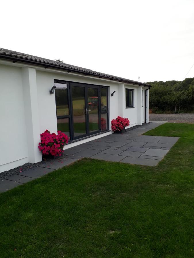 Foxholes Accommodation Felton  Exteriér fotografie